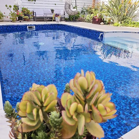 Villa Olivia Paphos