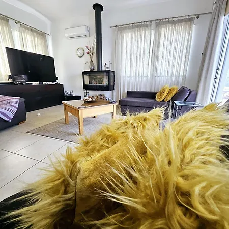 Villa Olivia Paphos